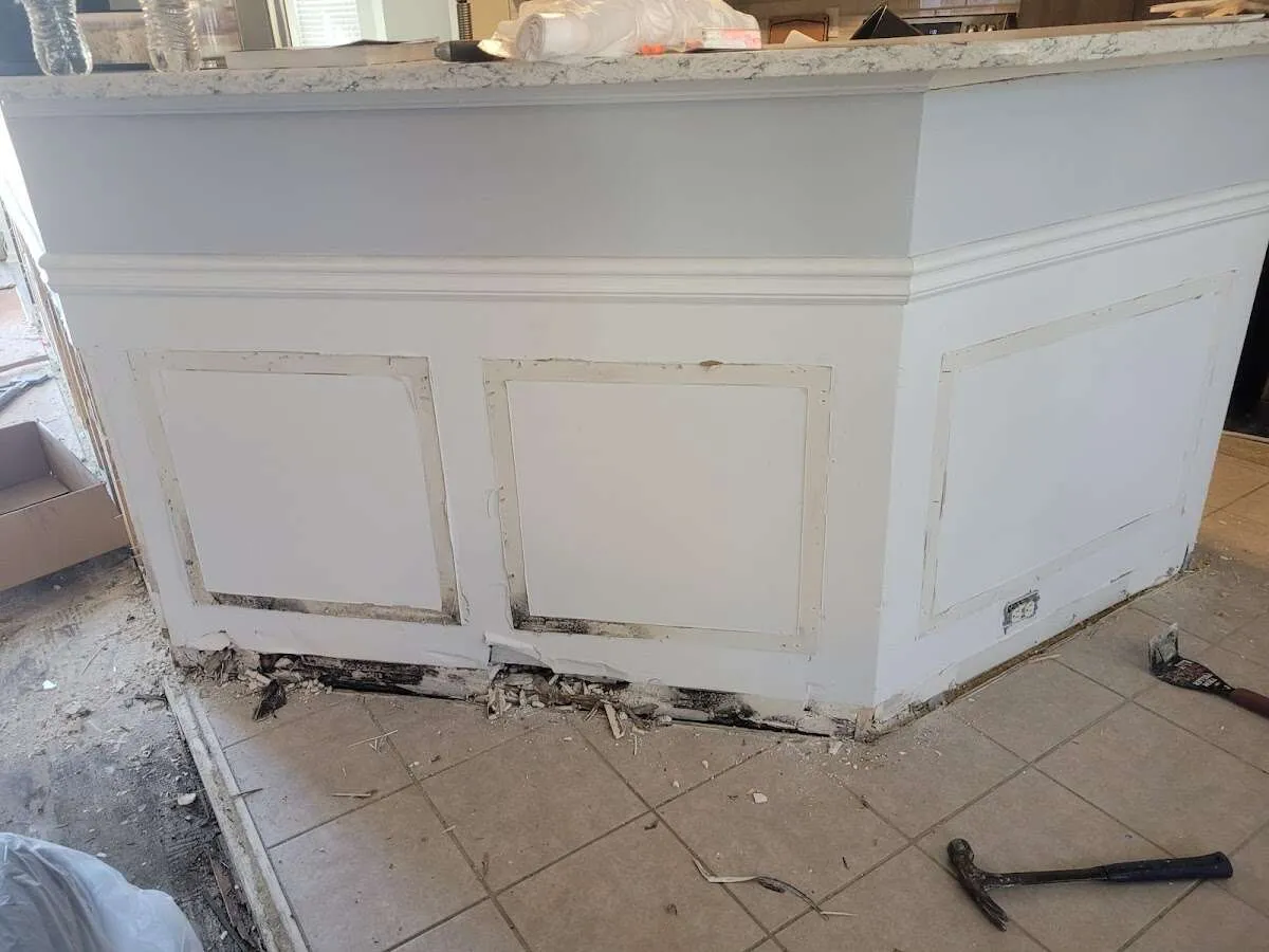 Water damage and mold on kitchen during Sewage Cleanup & Sanitation in Madison